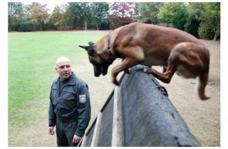 Hund