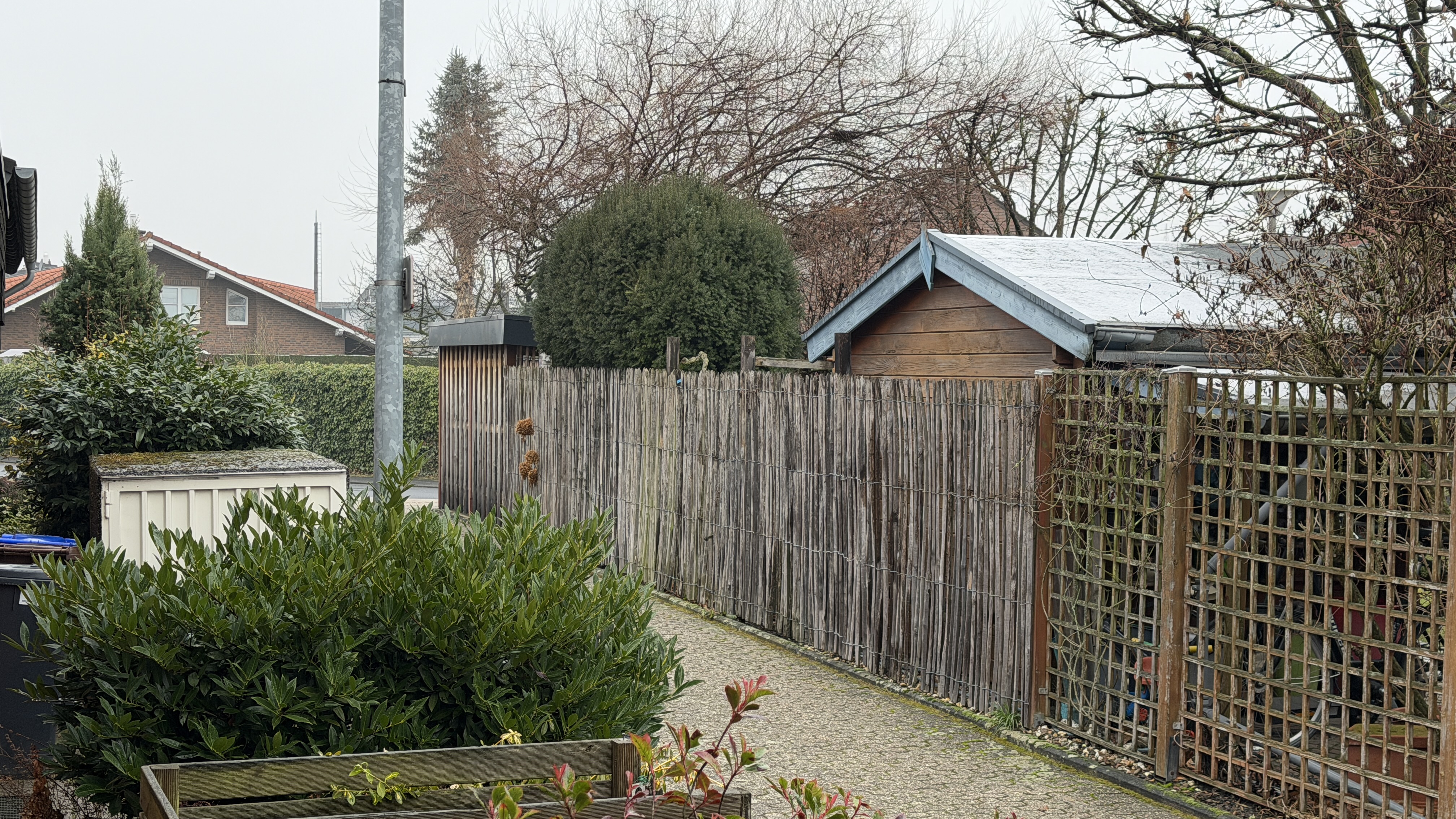Überwuchs beseitigen: Bäume und Sträucher im Blick