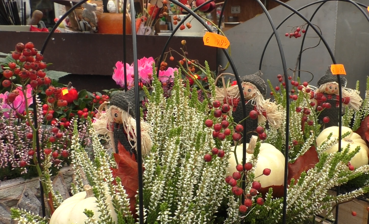 Blumen Boon Pulheim.