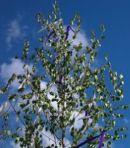 Grünes Rüstzeug für traditionellen Liebesbeweis