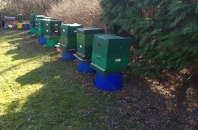 polizeiinspektion cuxhaven pol cux erneut bienenvoelker gestohlen