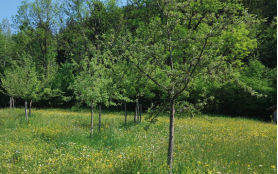 Bildschirmfoto 2025 12 08 um 17.47.53