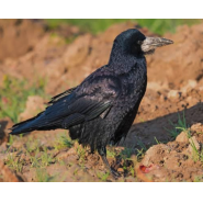 Bildschirmfoto 2026 01 22 um 19.57.30