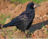 Bildschirmfoto 2026 01 22 um 19.57.30