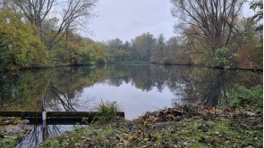 Blick auf den idyllischen Teich Nummer 3