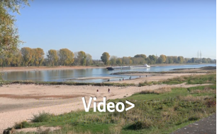 Niedrigwasser