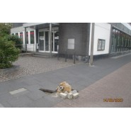 VandalismusErftstadtQuellePolizei4