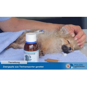 tierretung2